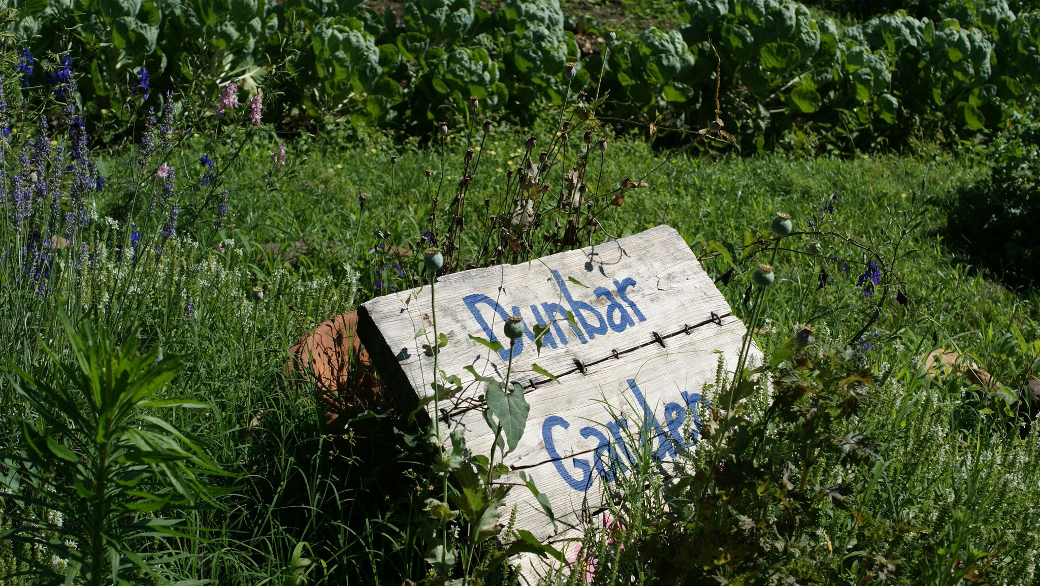 Field Trip Dunbar Garden