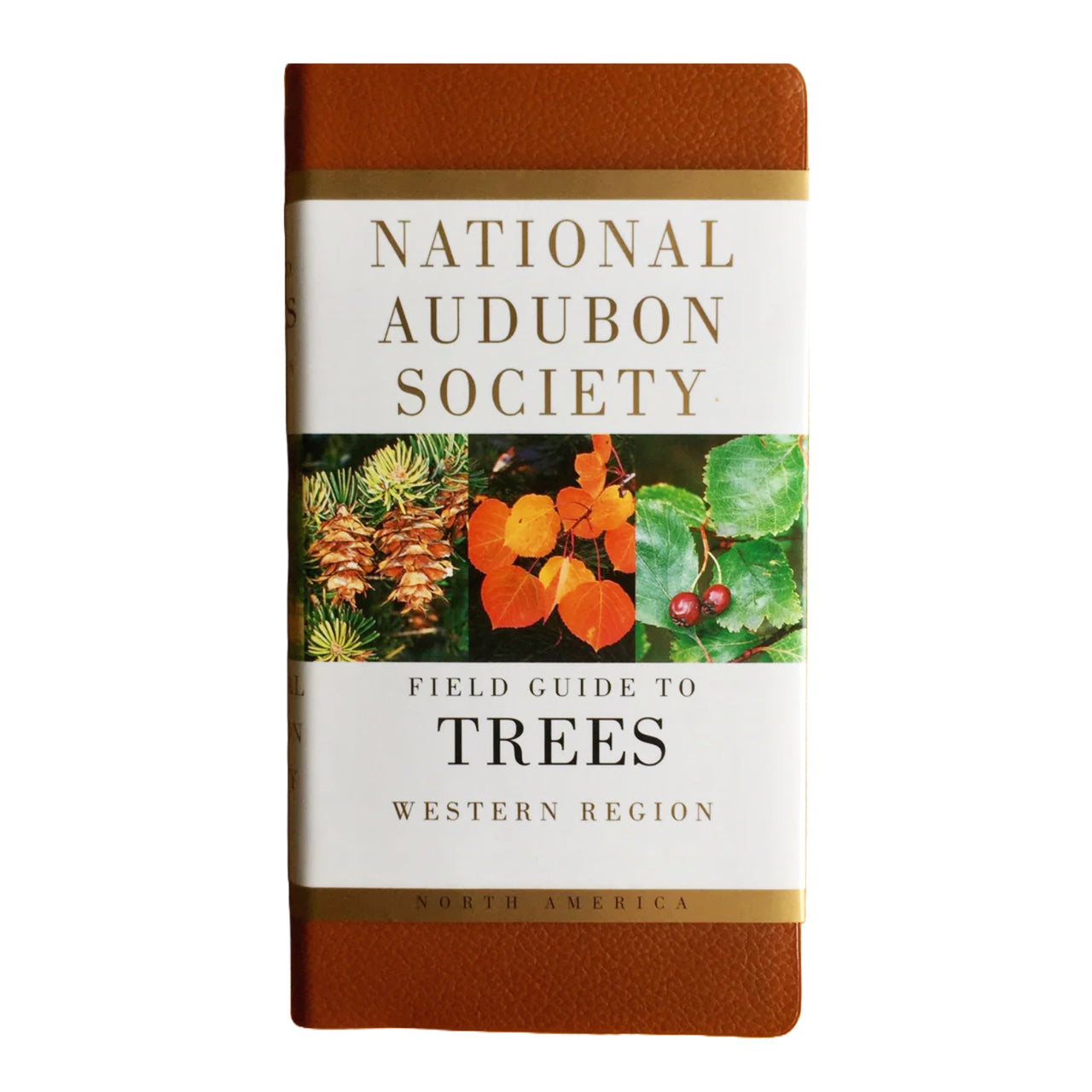 National Audubon Society Field Guide to Trees | Western Region