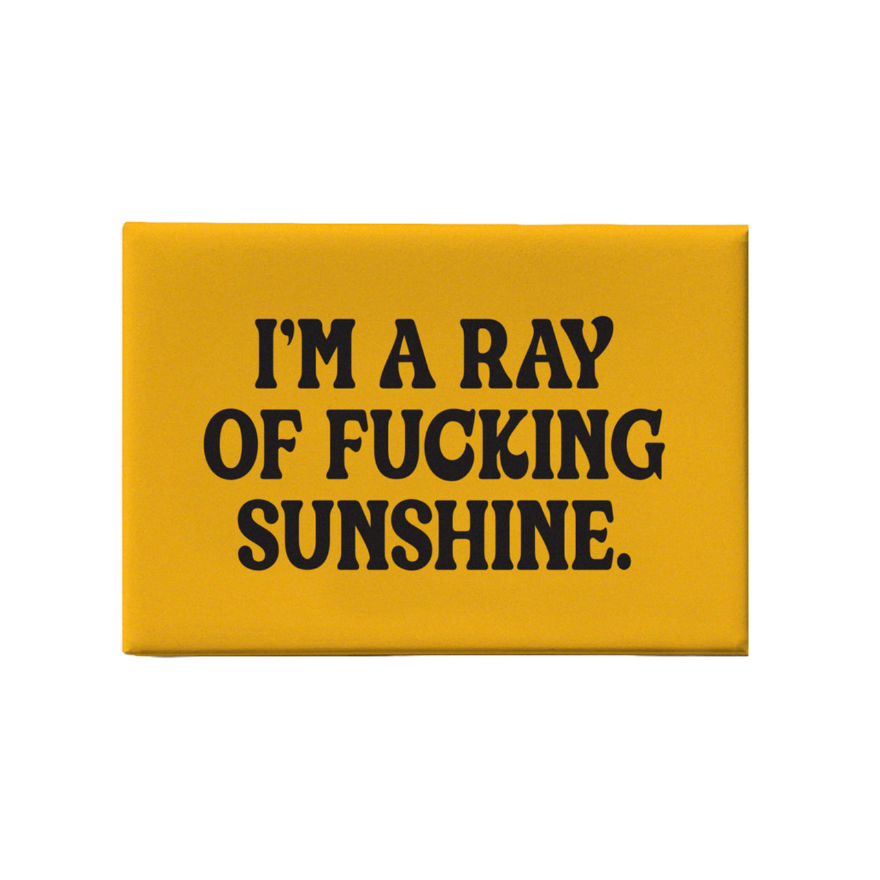 I'm a Ray of Fucking Sunshine Magnet