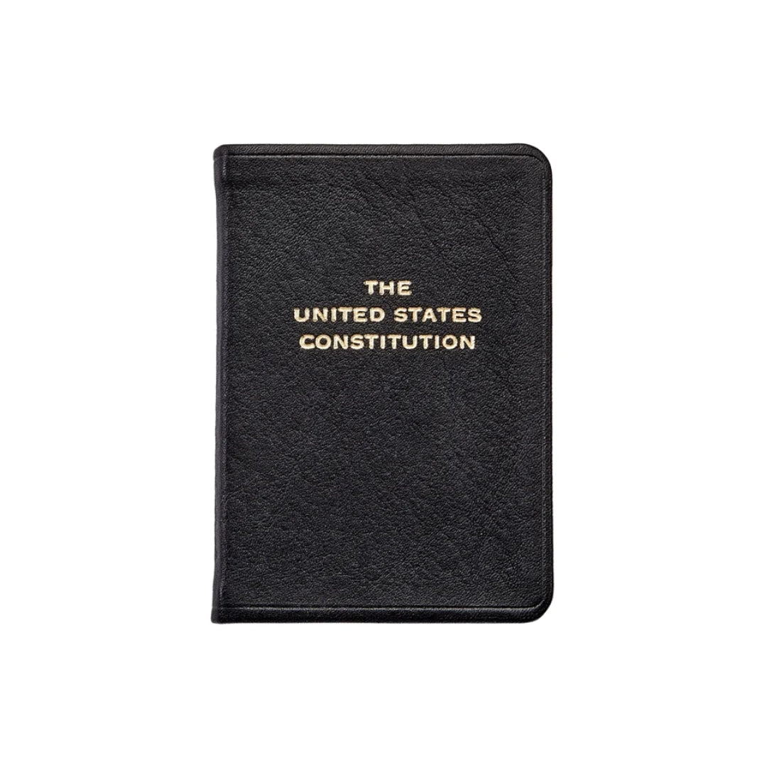 Mini Constitution