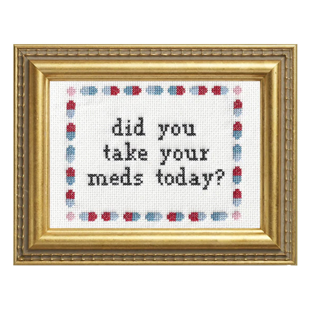 Did You Take Your Meds? Cross Stitch Kit
