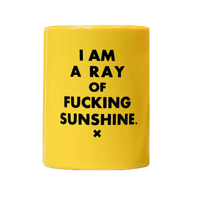Ray of F-ing Sunshine Koozie