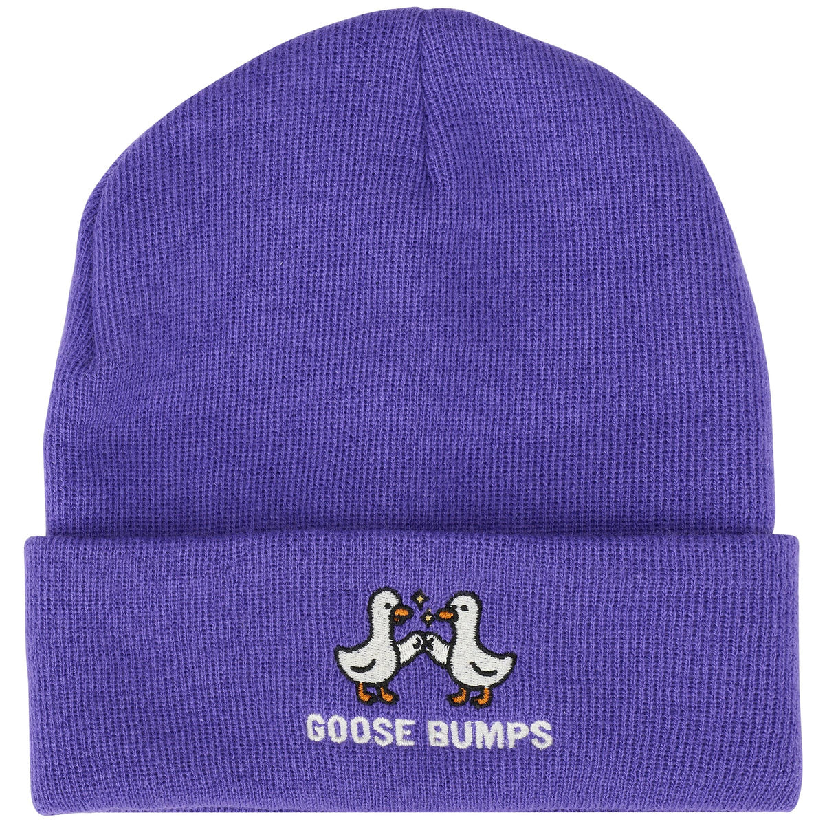 Goose Bumps Beanie