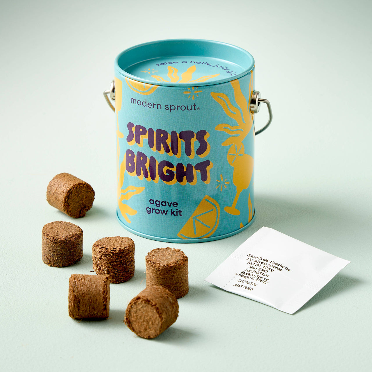 Spirits Bright- Agave Grown Kit