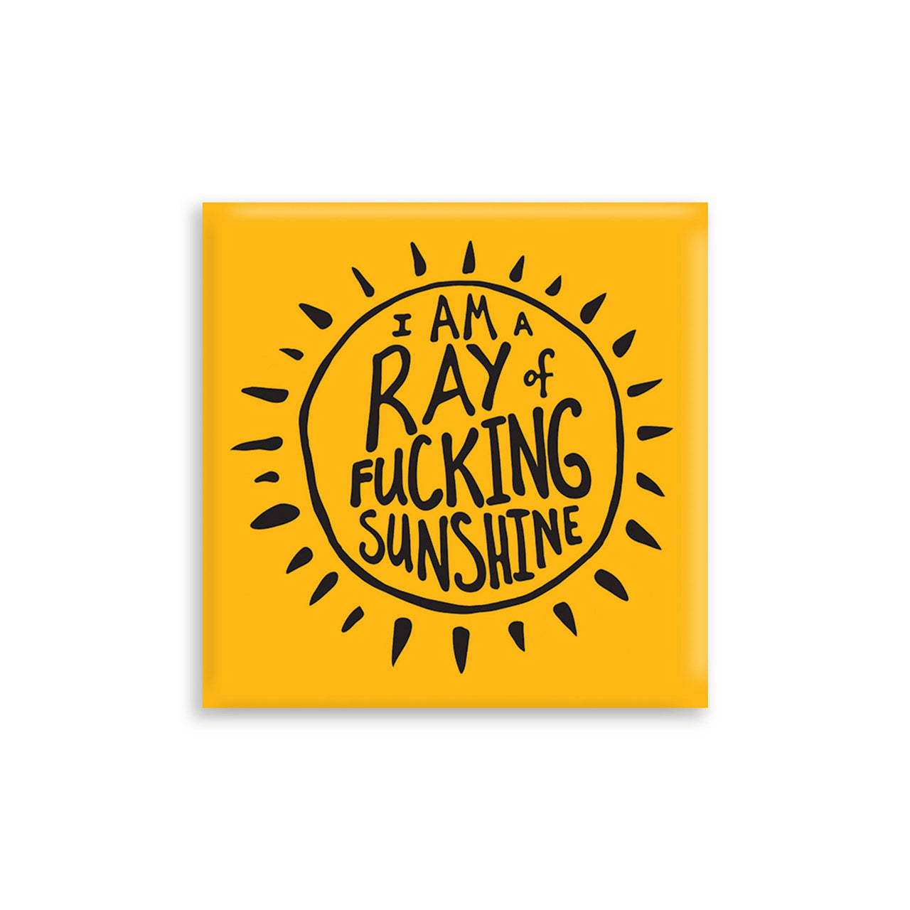 Ray Of Fucking Sunshine Magnet