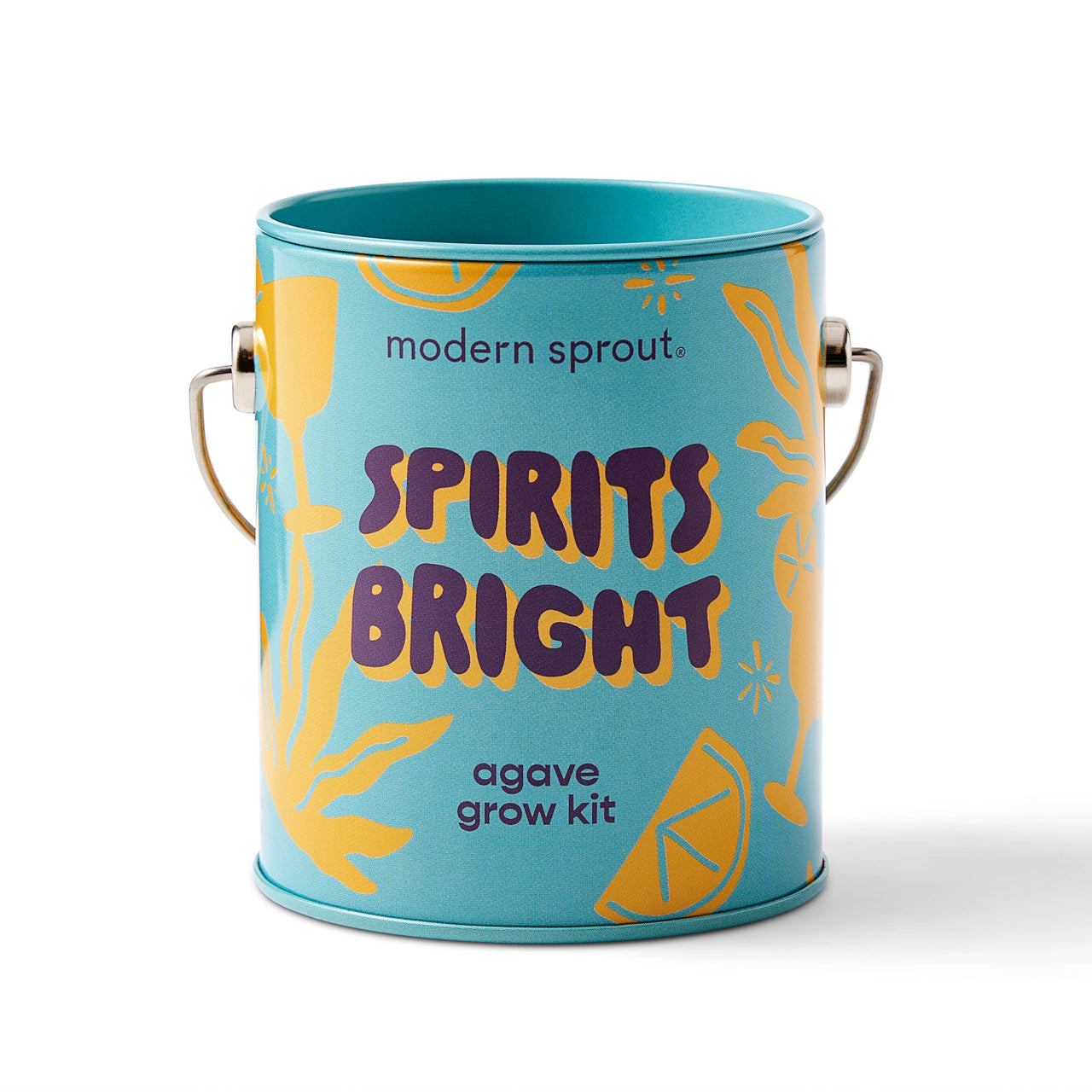 Spirits Bright- Agave Grown Kit