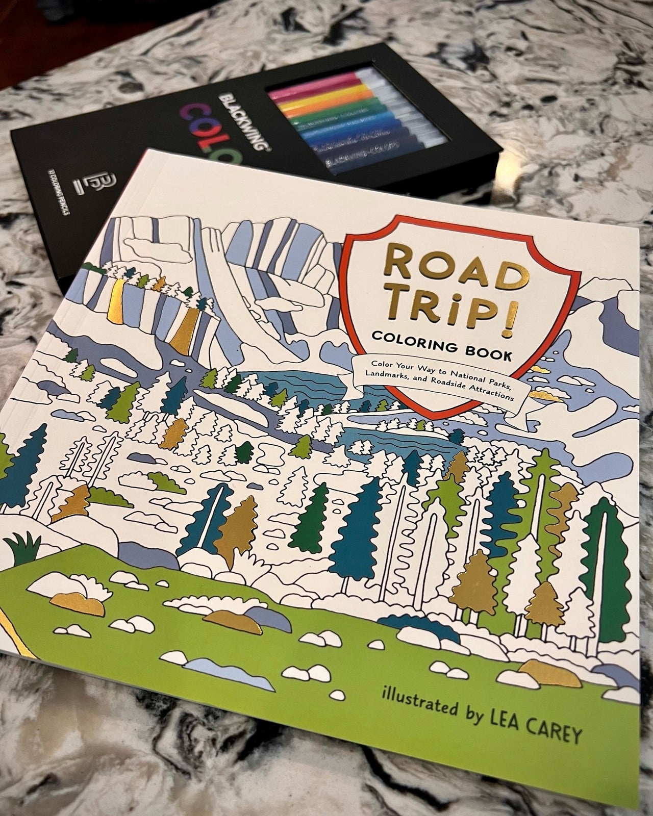 Road Trip! Coloring Book