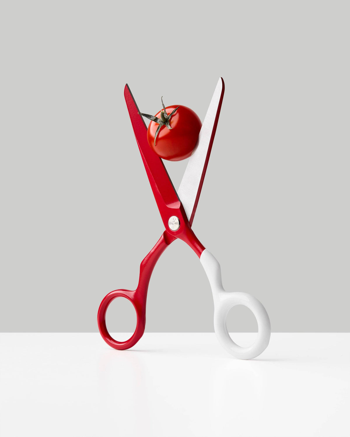 Spectra Scissors | Red + White
