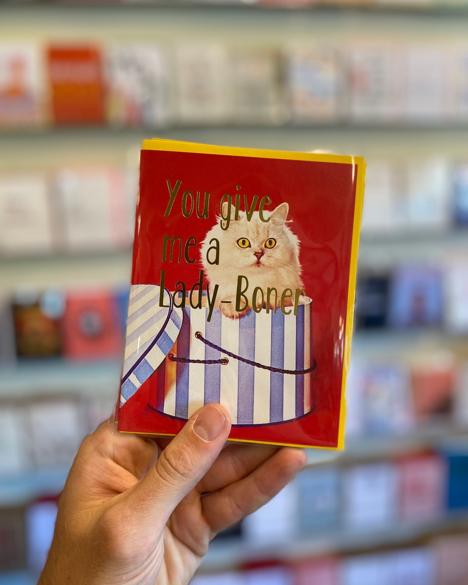 You Give Me A Lady Boner Card - Domestic Domestic
