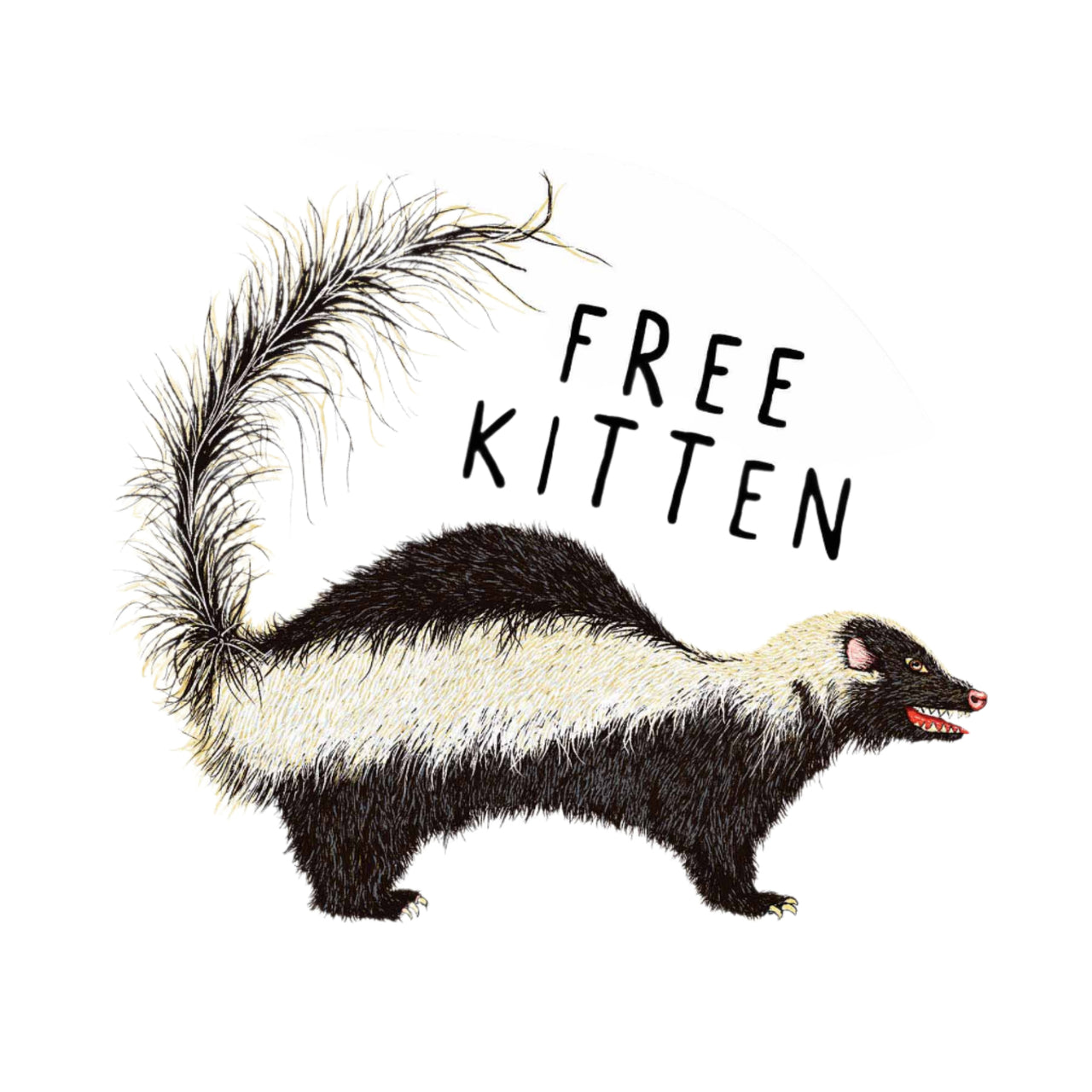 Free Kitten Sticker
