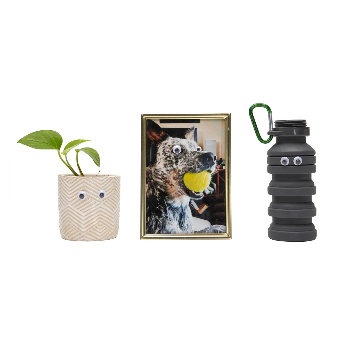 Emergency Googly Eyes Kit