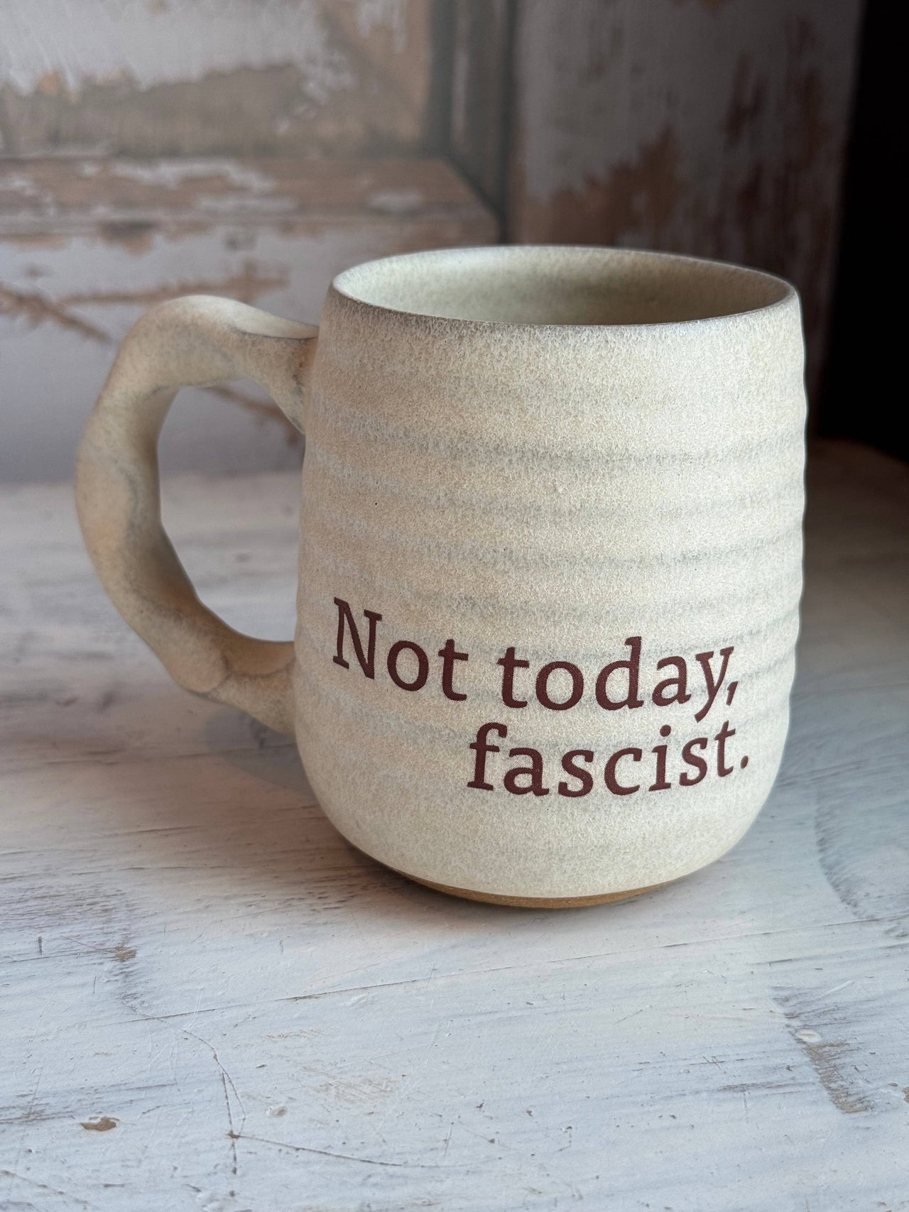 Not Today, Fascist Mug