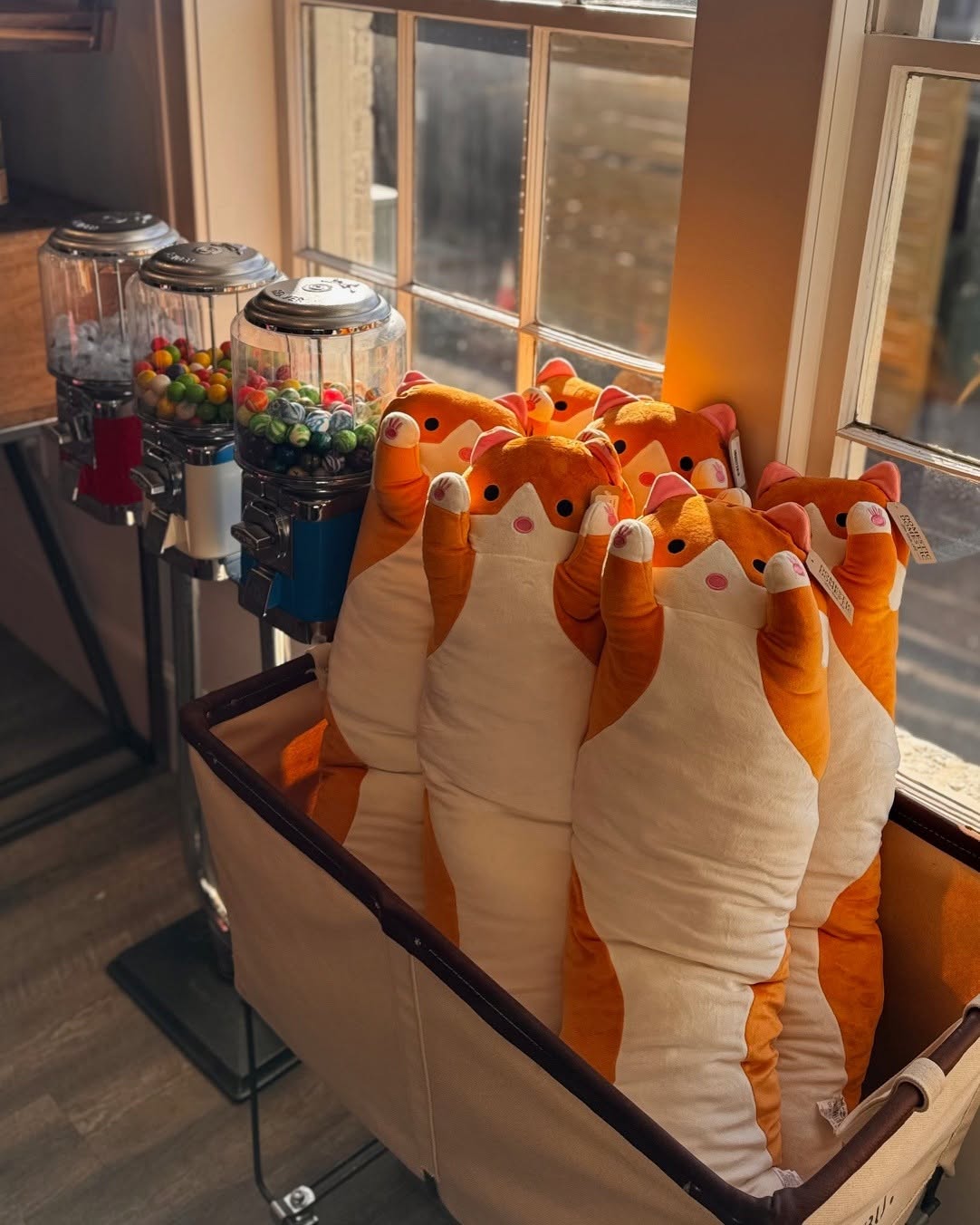 Long Animal Plush Toy | Orange Tabby Cat