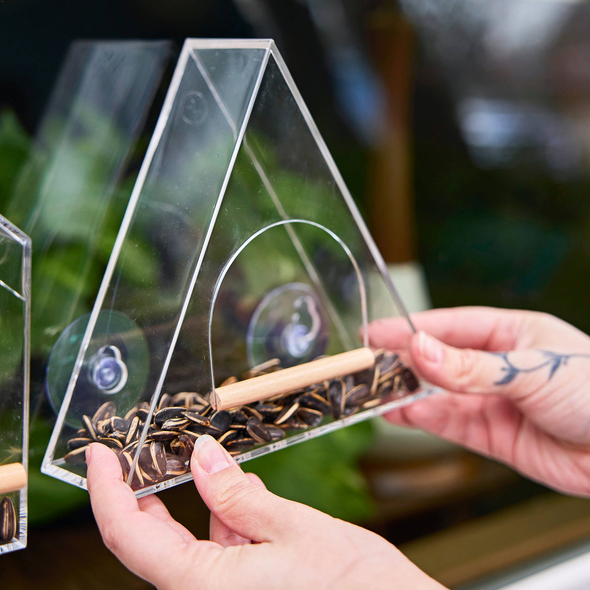 Birds on the Block | A-Frame Aviary