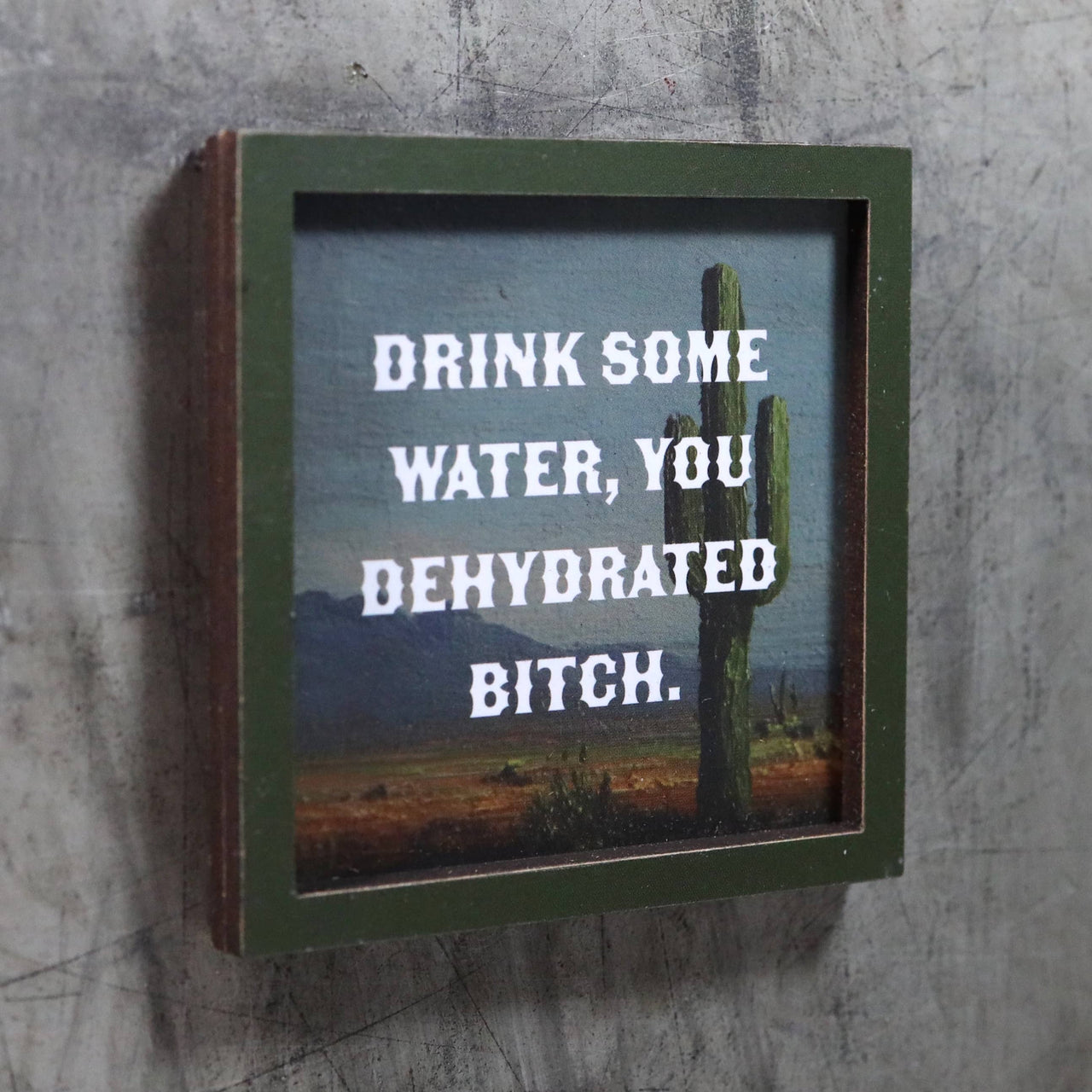 Drink Some Water, You Dehydrated Bitch Magnet
