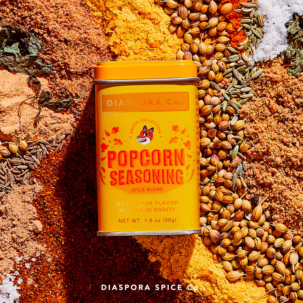 Popcorn Seasoning | Spice Blend
