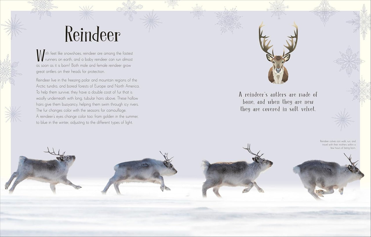 An Anthology Of Christmas