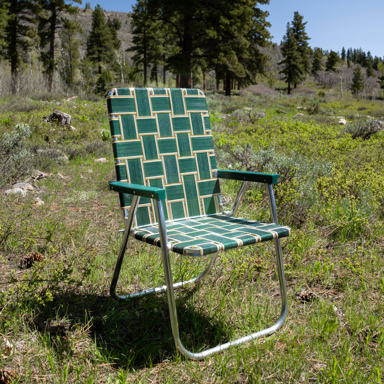 Lawn Chair | Charleston Green