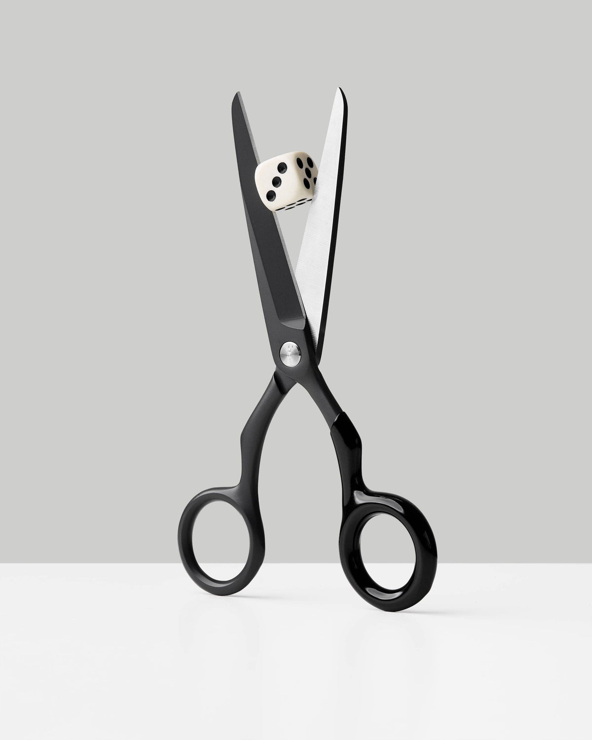 Spectra Scissors | Charcoal + Black