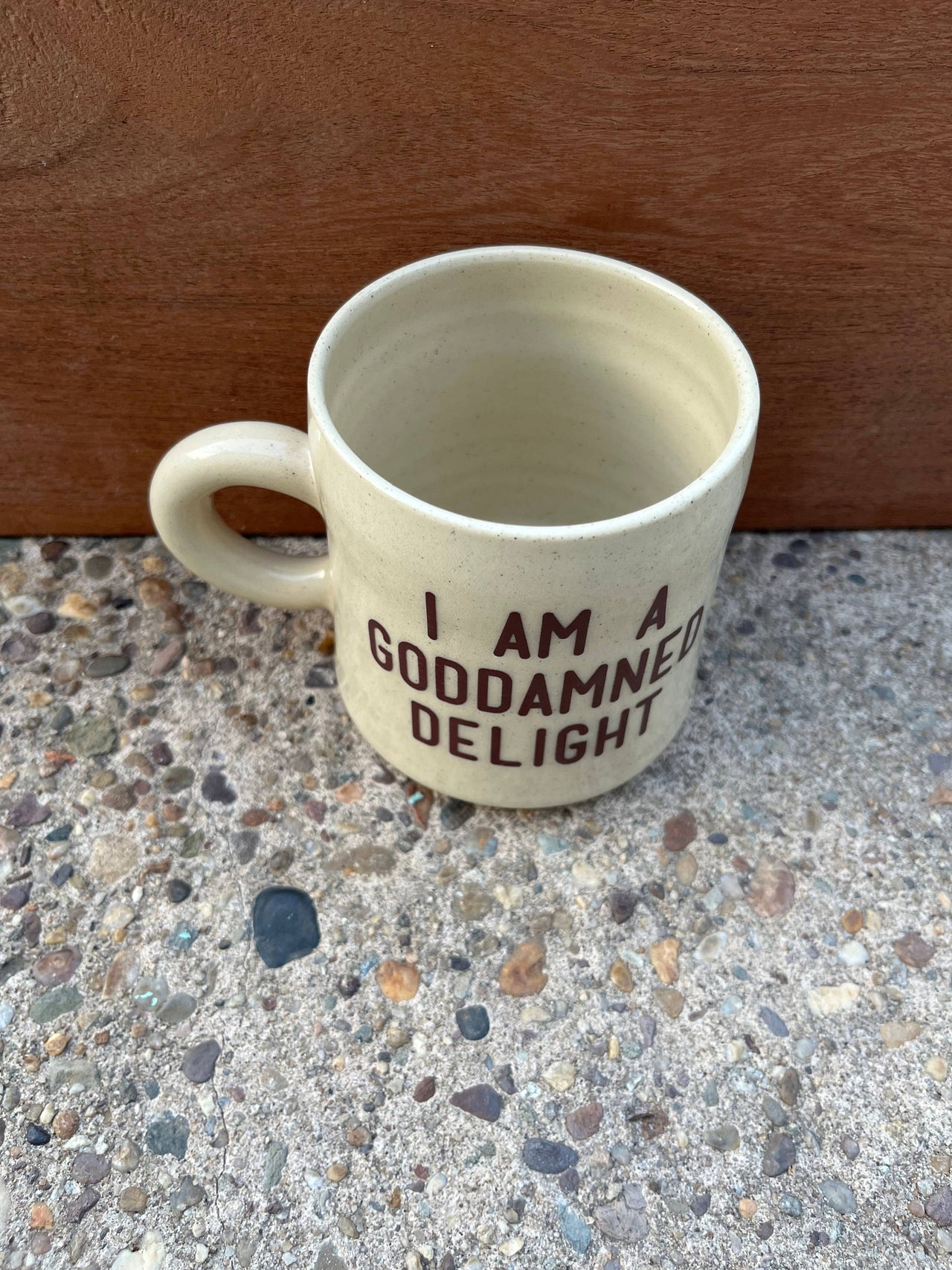 I am a Goddamn Delight Mug