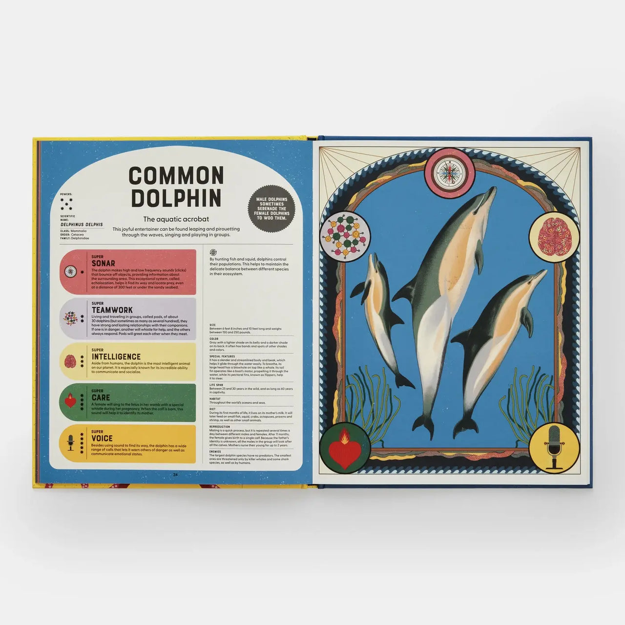 Superpowered Animals