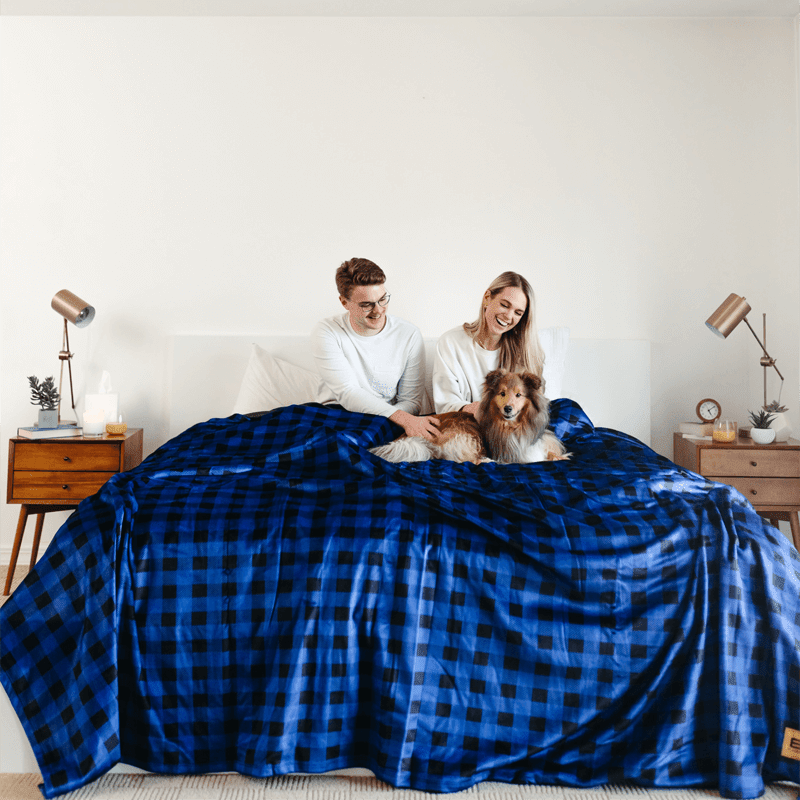 Original Stretch Blanket | Blue Plaid