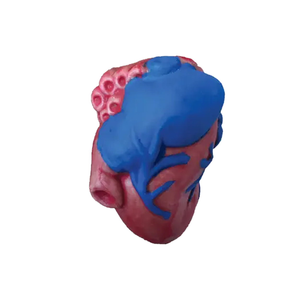 Extra Large Swell Polymer Heart - Domestic Domestic