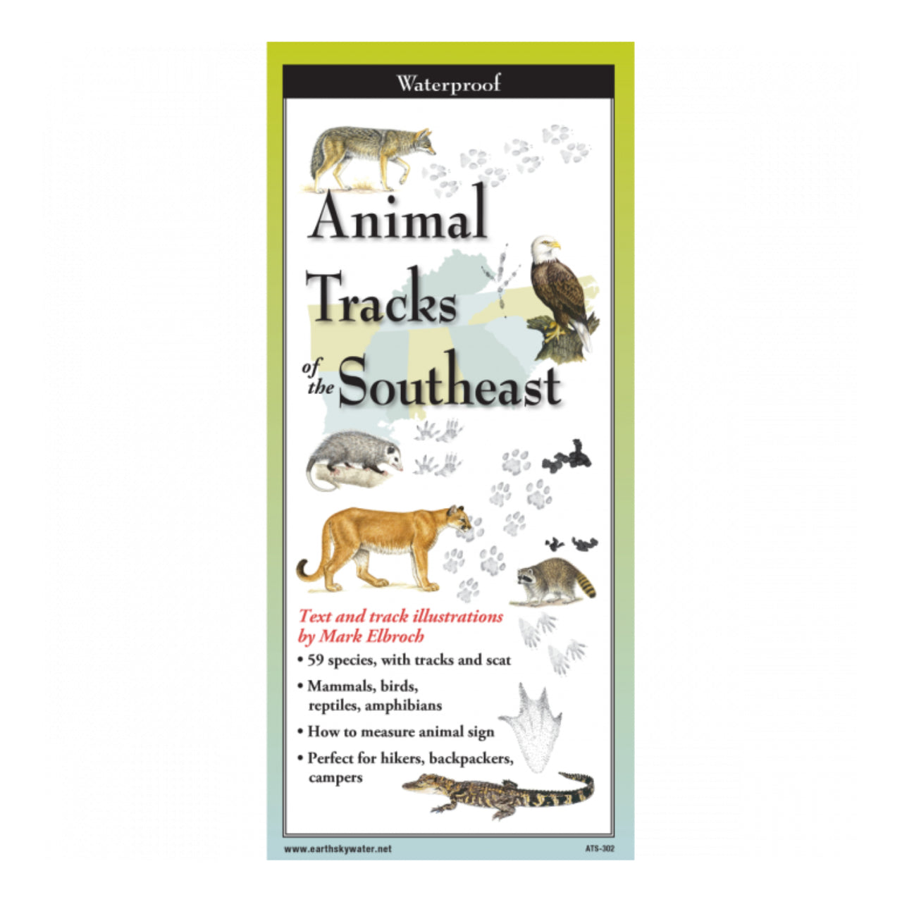 Animal Tracks of the Southeast