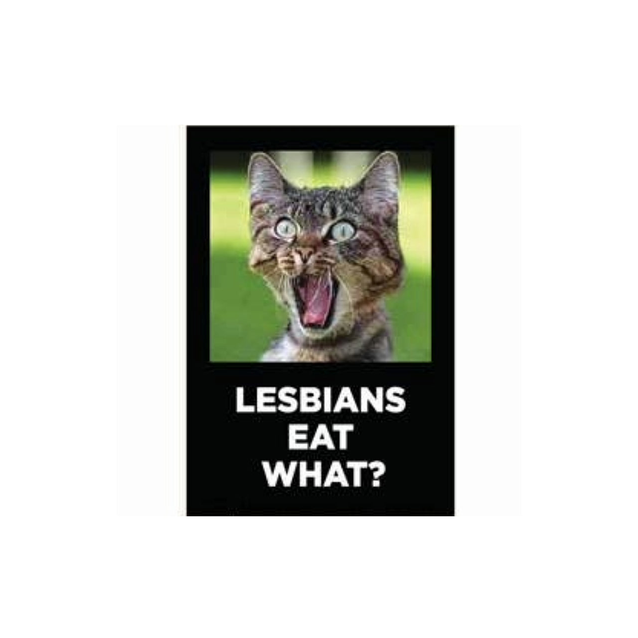 Lesbians Eat What? Magnet