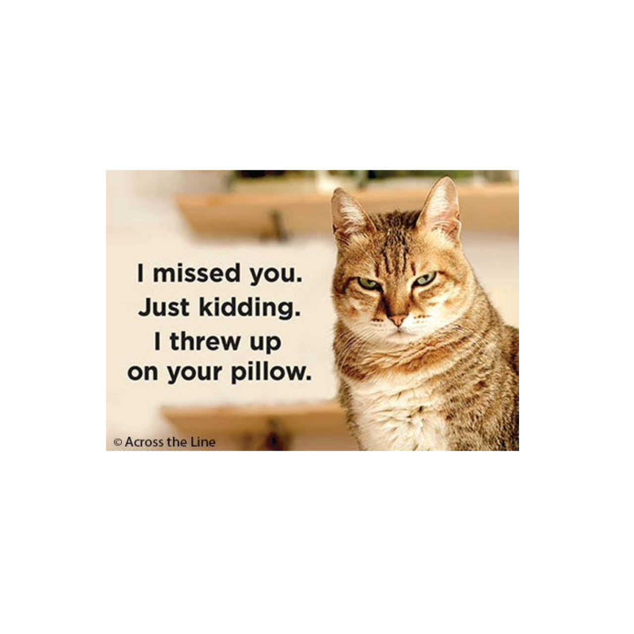 Threw Up On Your Pillow Magnet