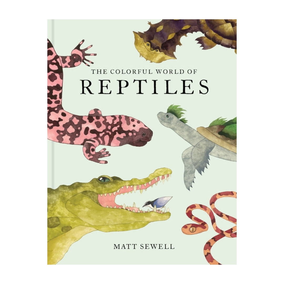 The Colorful World Of Reptiles