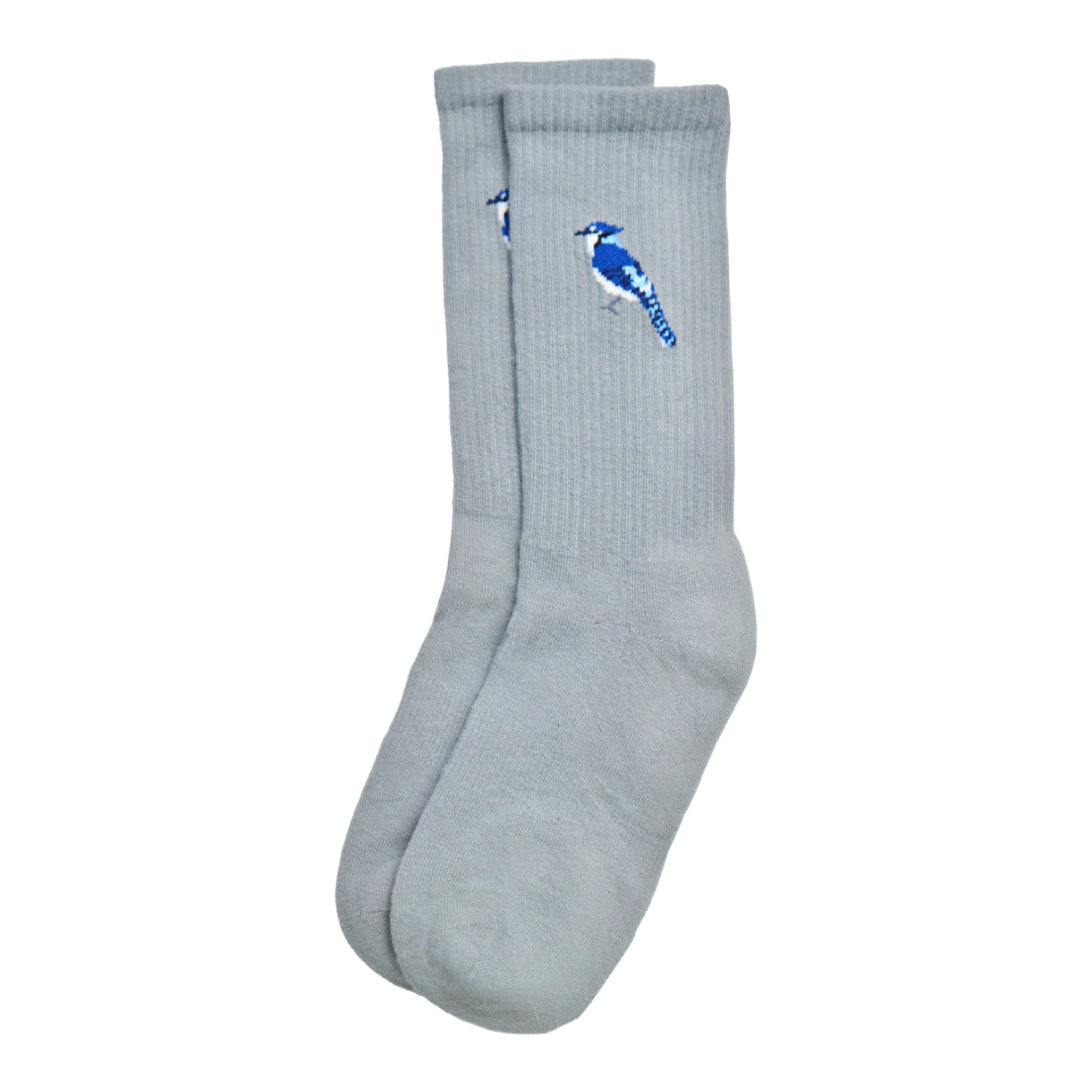 The Zoo Crew | Grey Bluejay