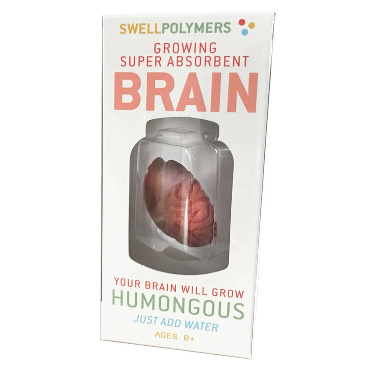 Grow a Brain | 
Anatomy Model Polymer Brain Science Kit