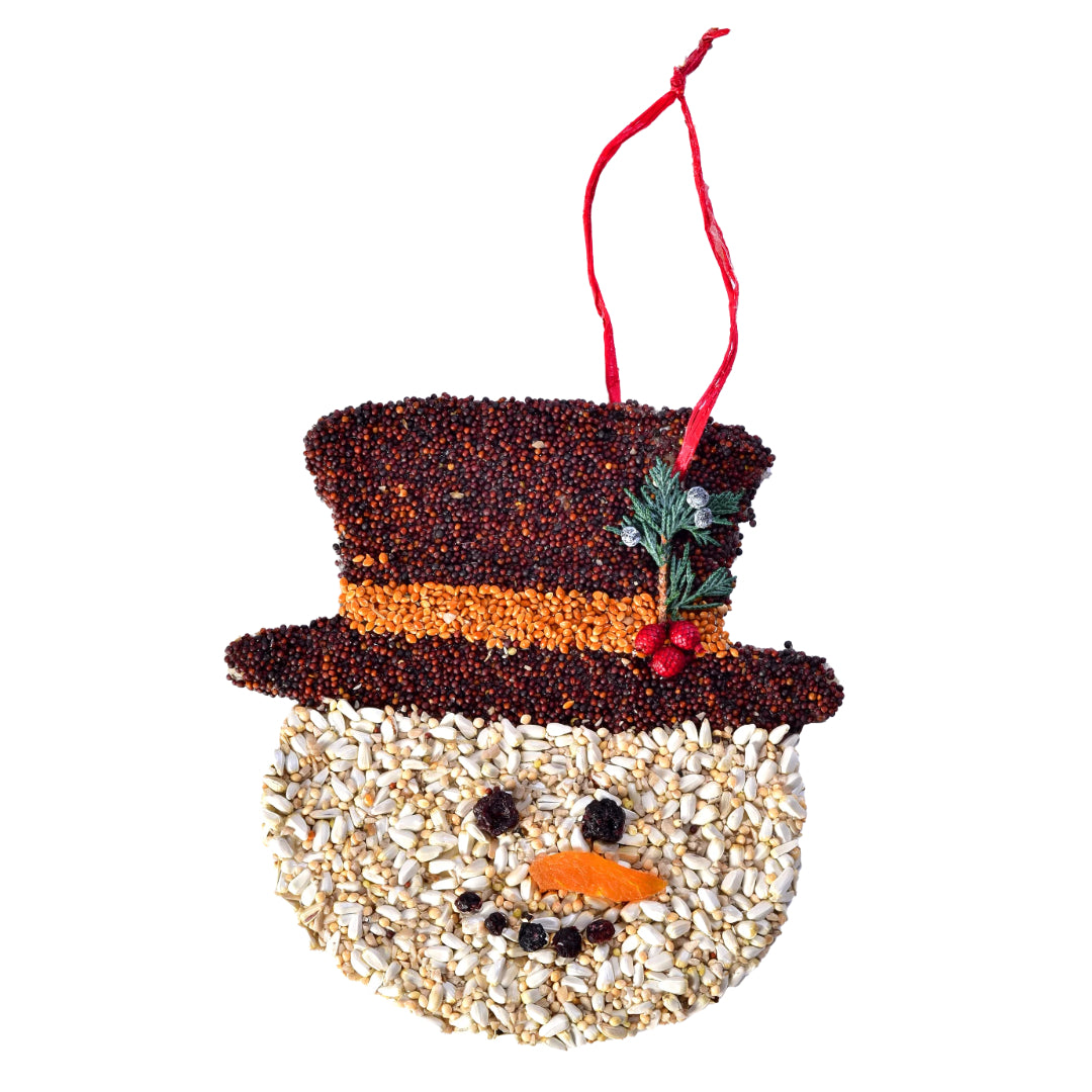 Christmas Cookie Ornament | Frosty - Domestic Domestic