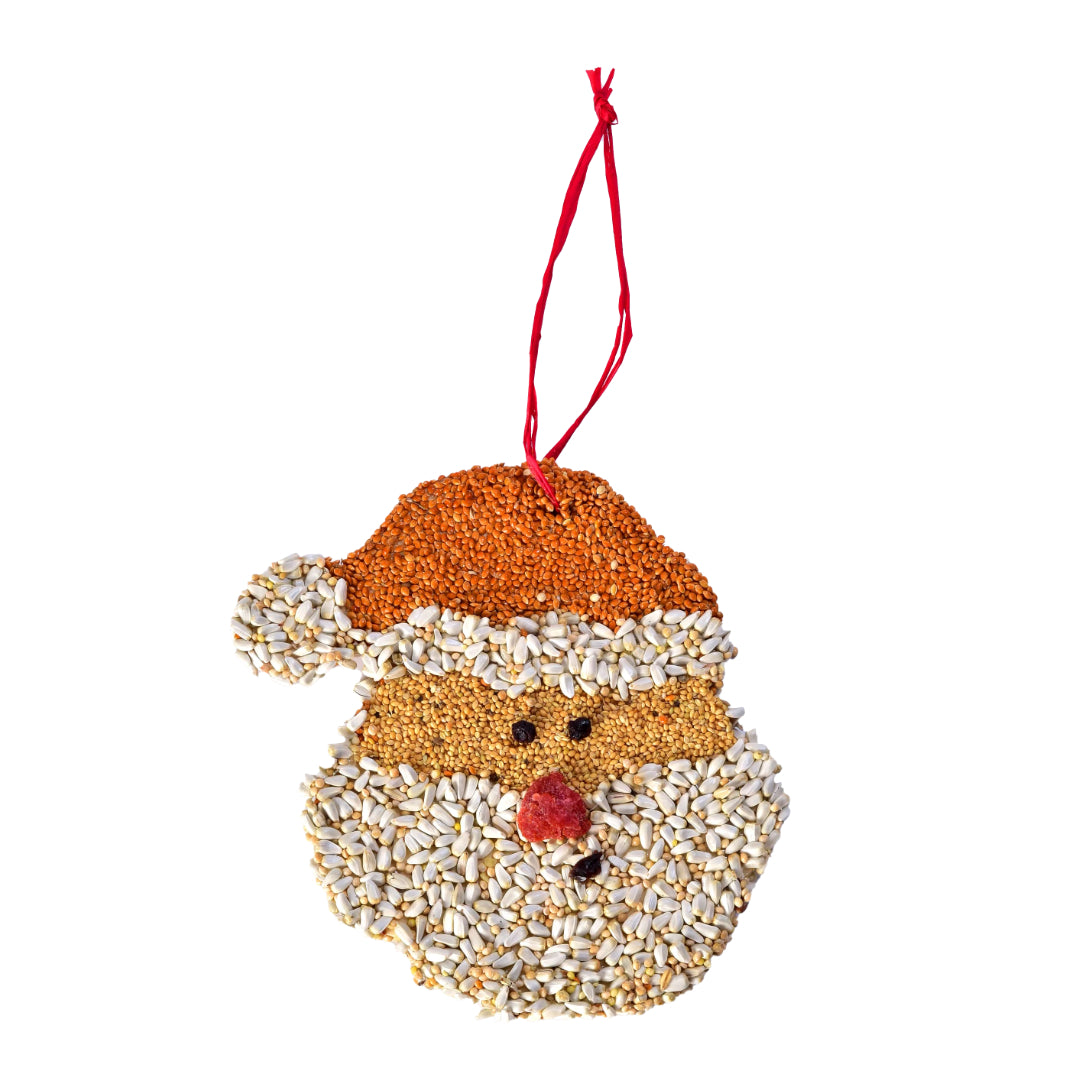 Christmas Cookie Ornament | Santa - Domestic Domestic
