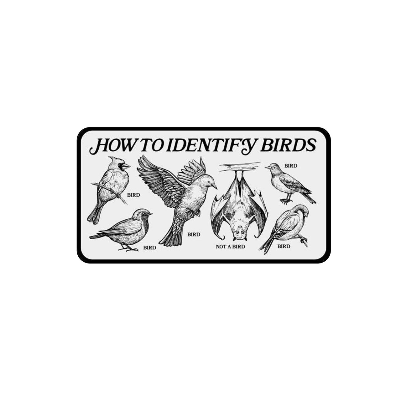 How To Identify Birds Bumper Sticker