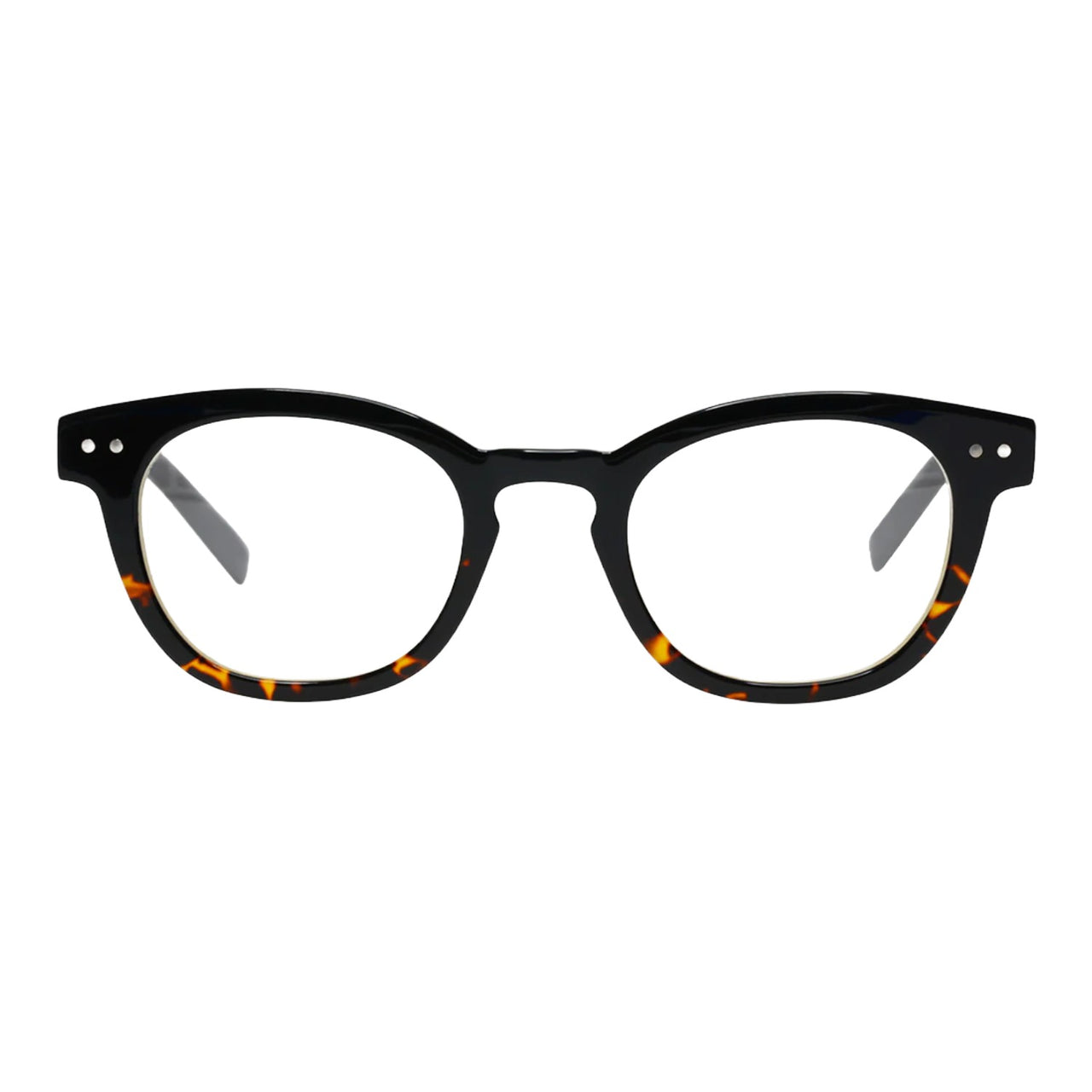 Wayland | Demi Tortoise