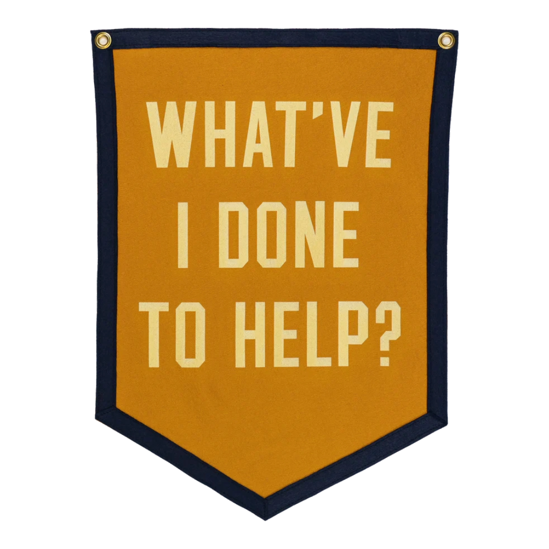 What've I Done To Help Camp Flag