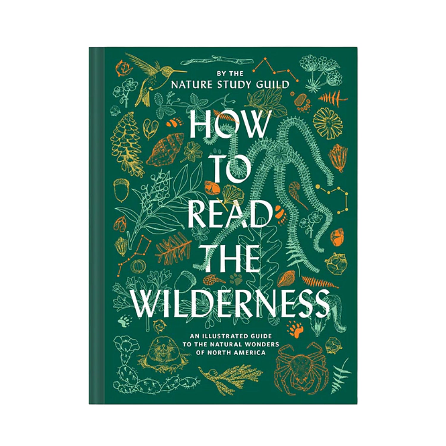 How to Read the Wilderness - Domestic Domestic