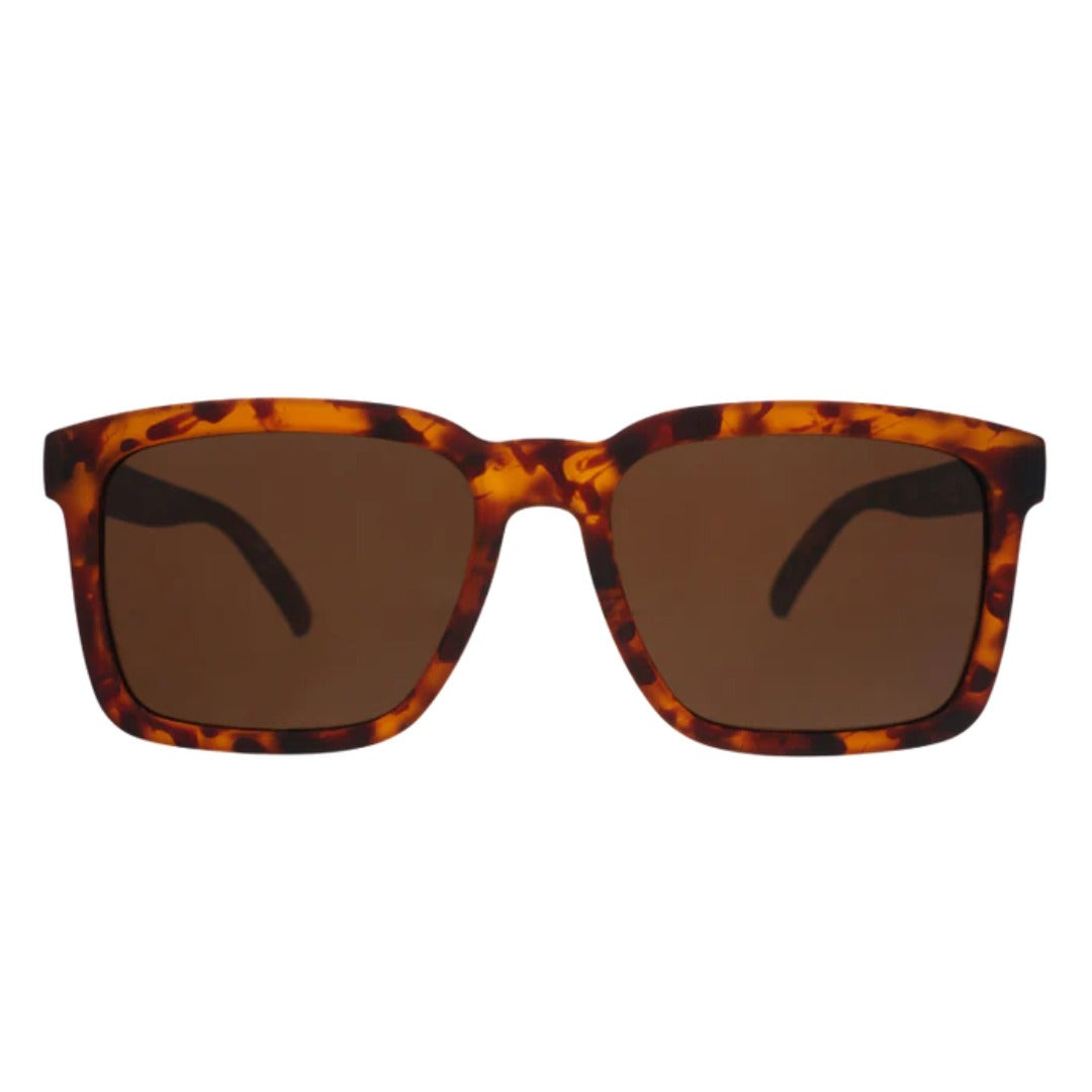 Fly G Sunglasses | Not An Actual Professor