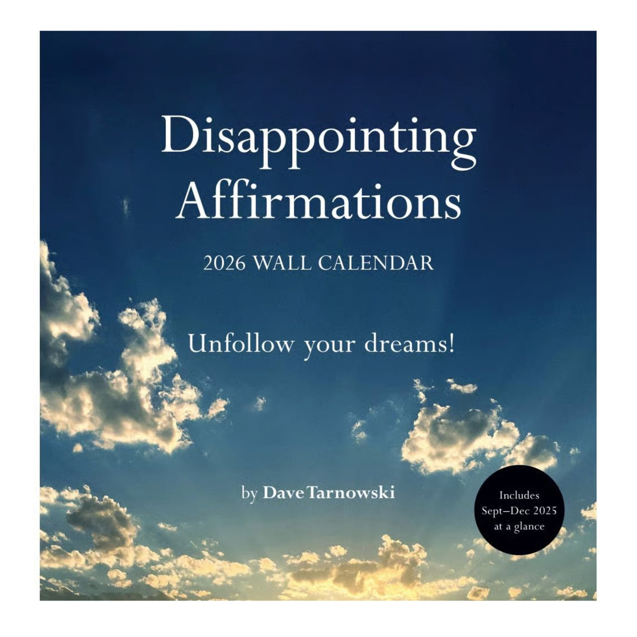 Disappointing Affirmations 2026 Wall Calendar