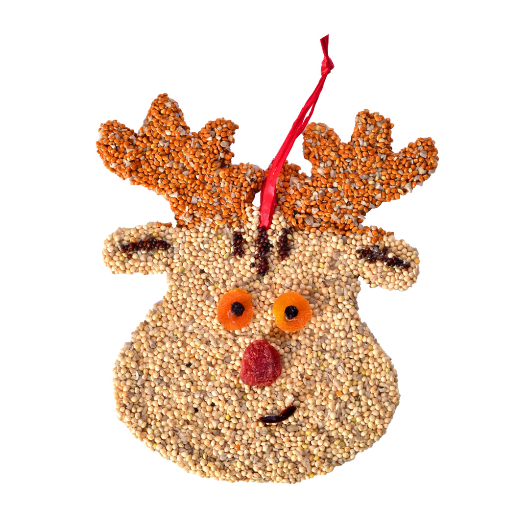 Christmas Cookie Ornament | Rudolph - Domestic Domestic