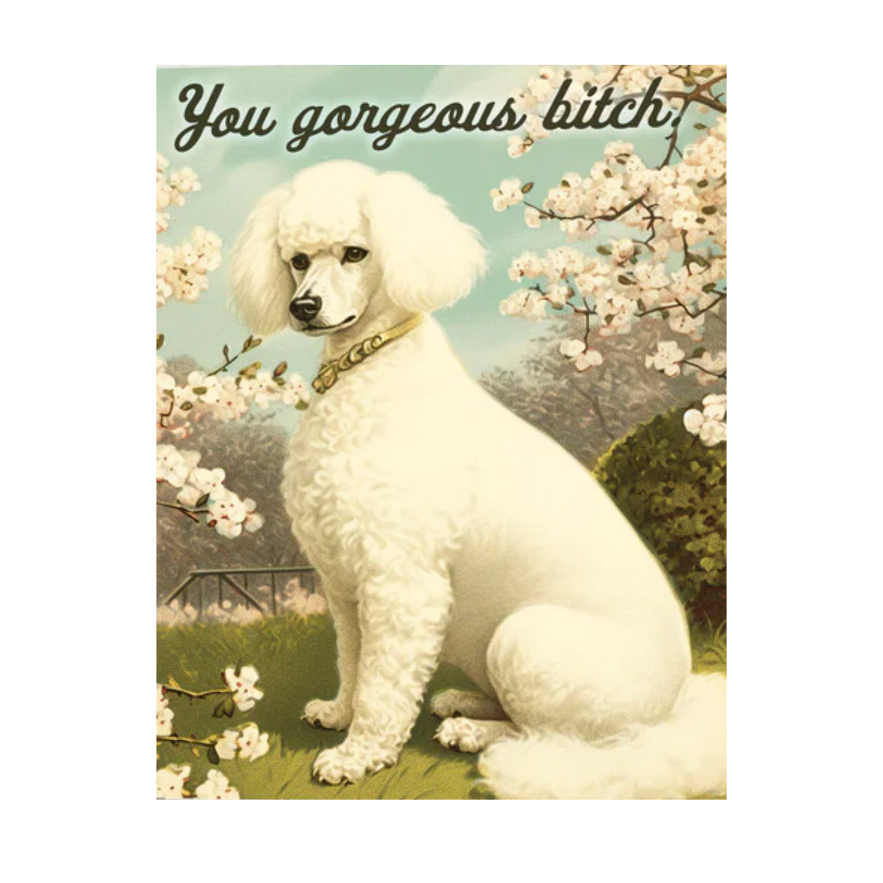You Gorgeous Bitch Card