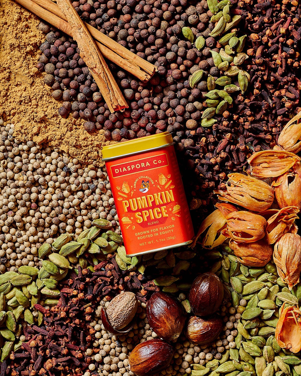 Pumpkin Spice Spice Blend - For Lattes & Baking