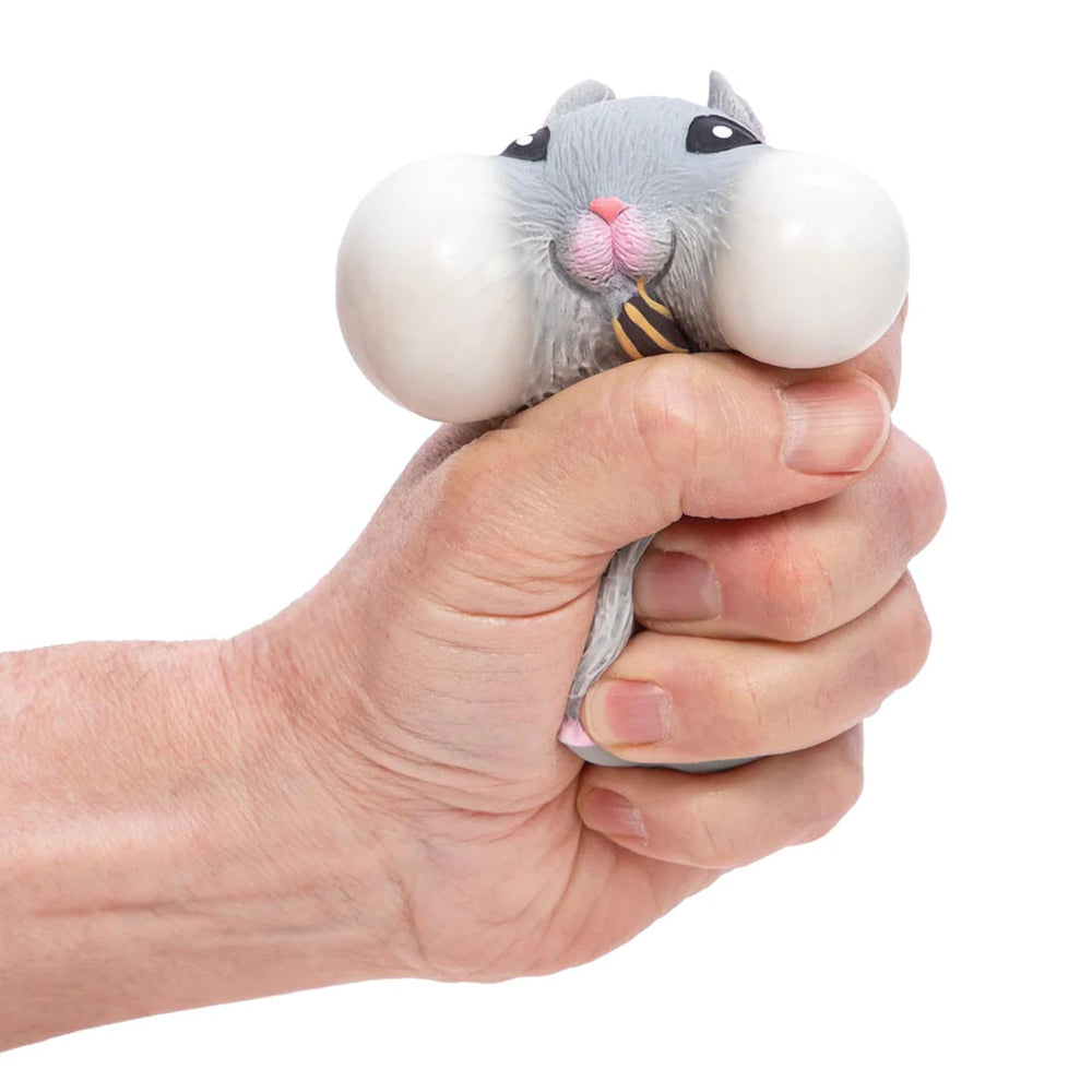 Chonky Cheeks Hamster - Domestic Domestic