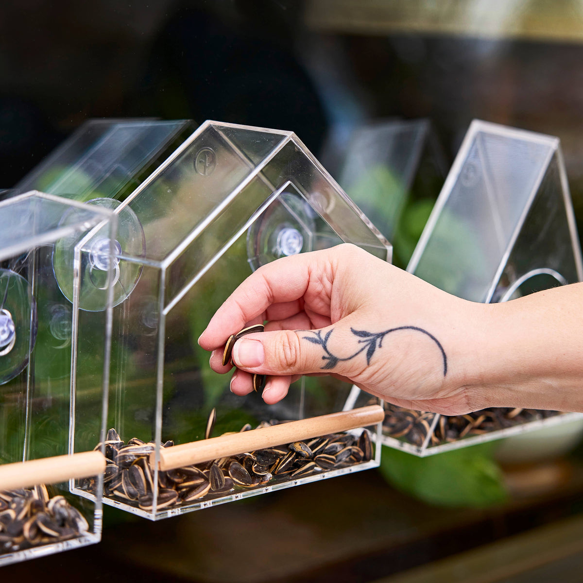 Birds on the Block | Cottage Roost