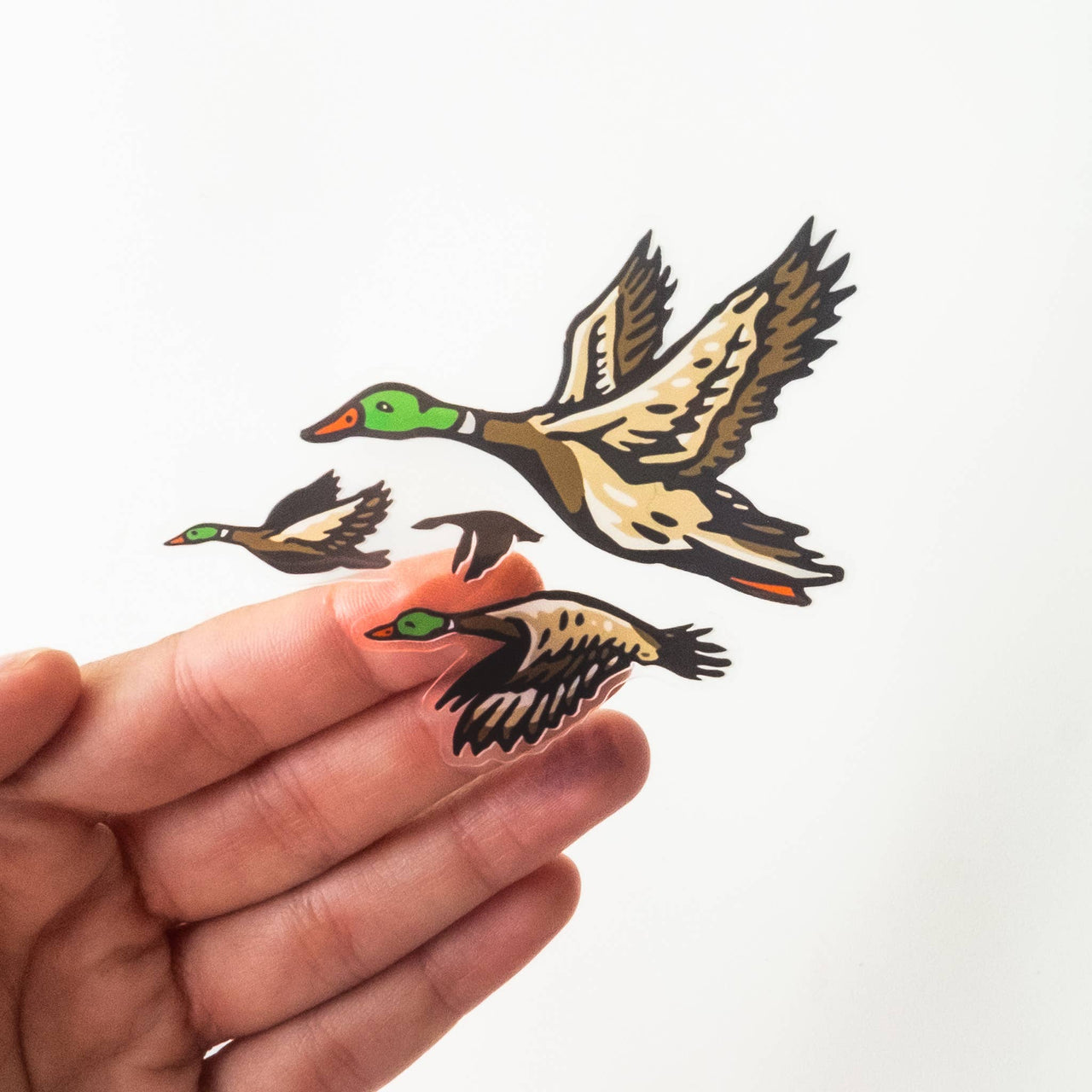 Mallard Ducks Vinyl Sticker