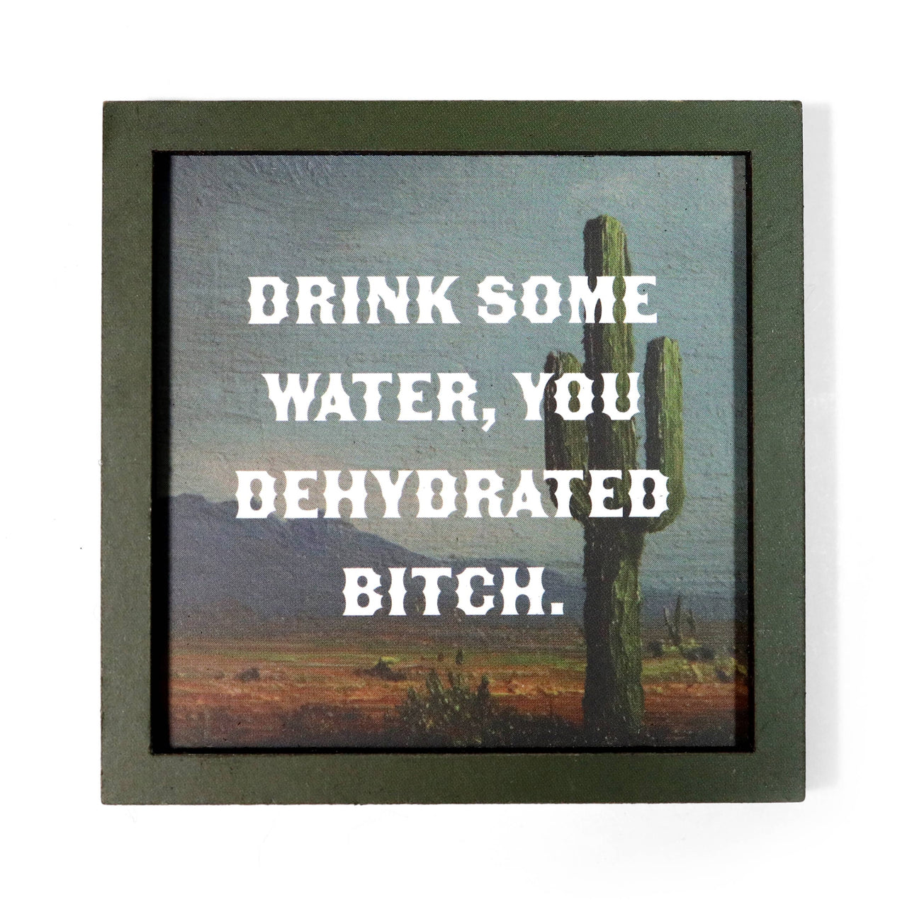 Drink Some Water, You Dehydrated Bitch Magnet
