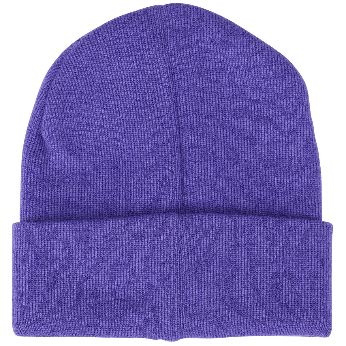 Goose Bumps Beanie