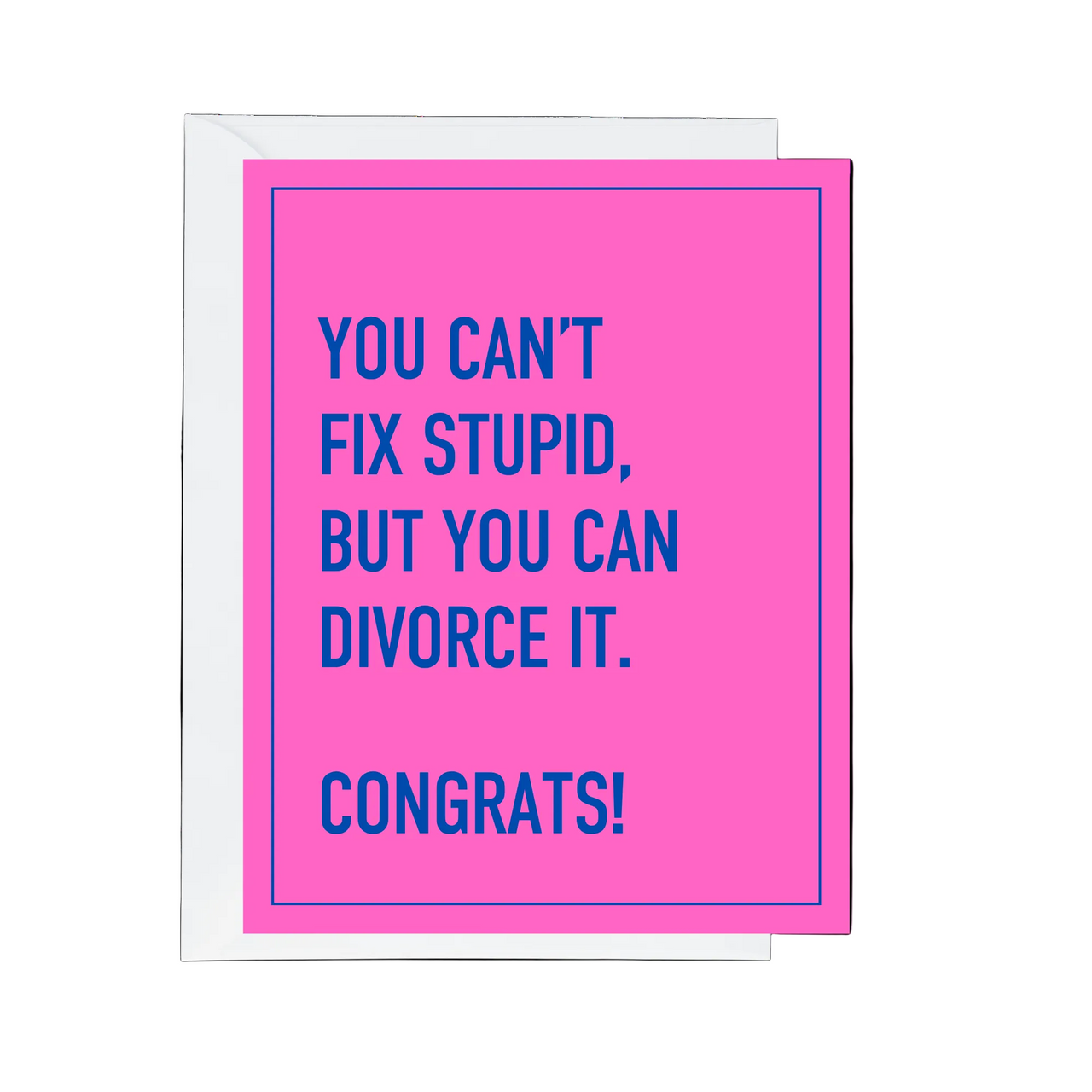 Can't Fix Stupid Divorce Greeting Card